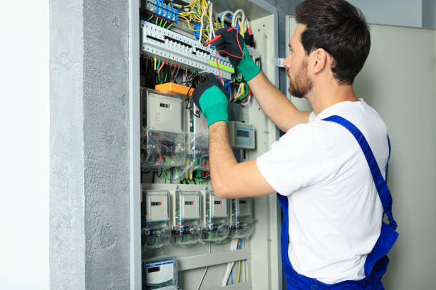 Best Electric Panel Repair  in Summersville, WV